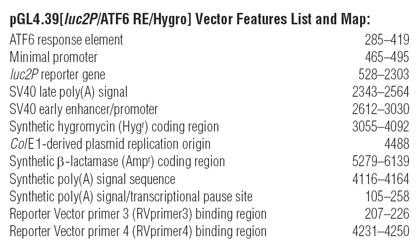 pGL4.39 载体特征
